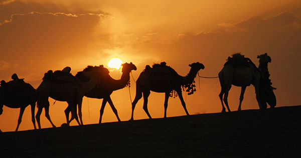 陈晓卿否认离开央视：正在策划《舌尖3》