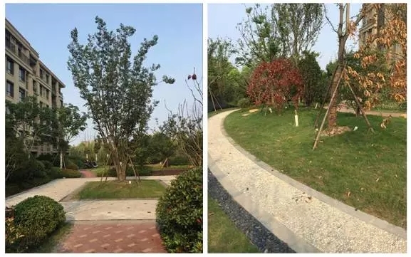 中海碧林湾 3.webp.jpg