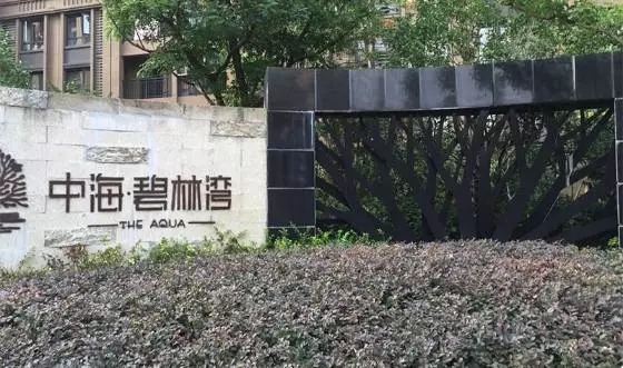 中海碧林湾 1.webp.jpg