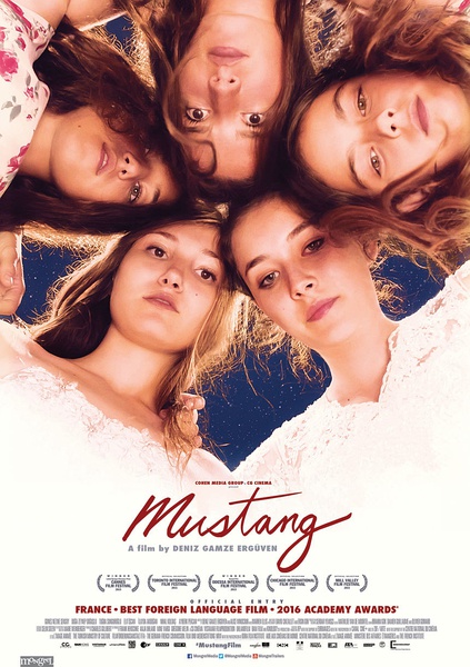 睡不着丨想当一匹野马，但哪里才有草原