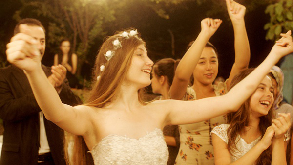 睡不着丨想当一匹野马，但哪里才有草原