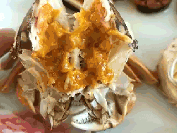 中秋档大闸蟹谈不上肥美？要吃就吃真正的“九雌十雄”