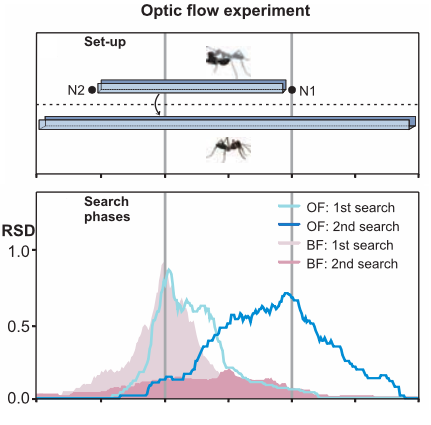 离家多远了？蚂蚁有两种方法知道