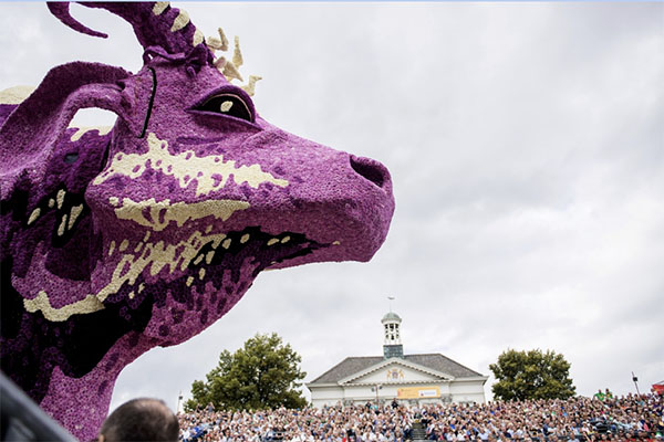 9月和花车很搭吗