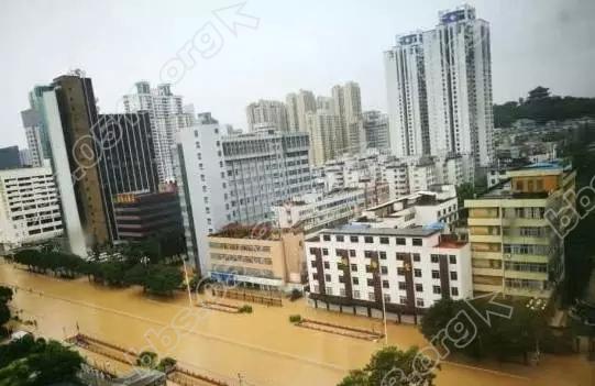 640 (1).webp (9).jpg