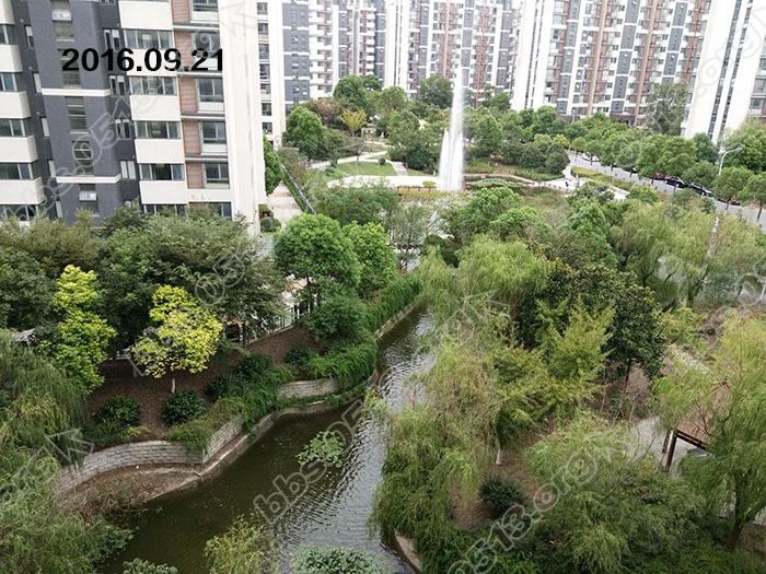 苏建阳光新城 1.jpg