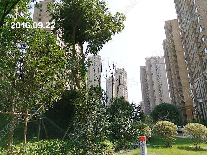 吴中玫瑰园 2.jpg