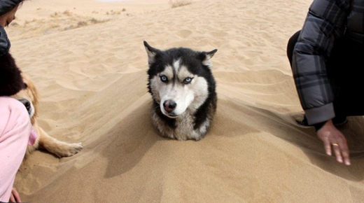 澎湃联播|修到能飙车的长城，才是最霸气的
