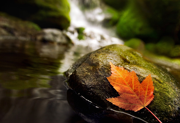 节气|秋分蛋儿俏，保暖防胃病