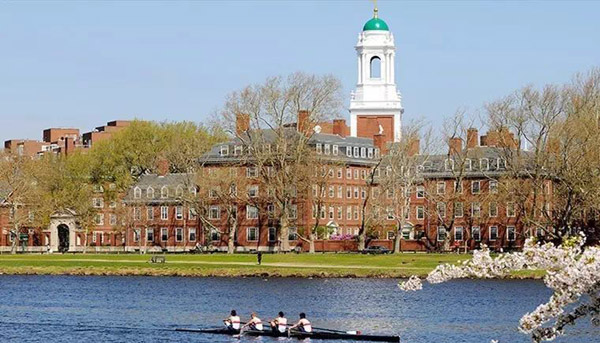 这届哈佛新生最全面画像：2/3没有性经验，1/4吸过大麻