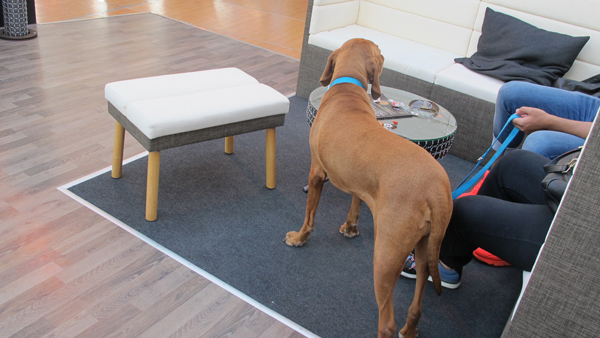 TING闻丨强烈安利这个电影节，因为它够小够精致