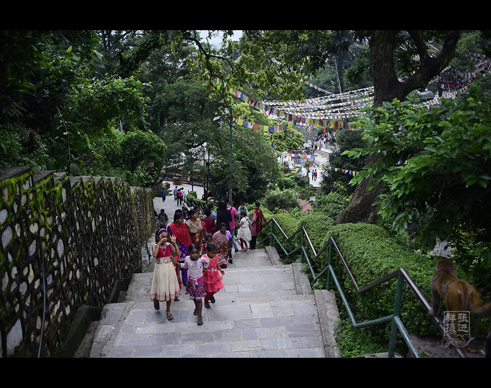 猴庙 (14).JPG