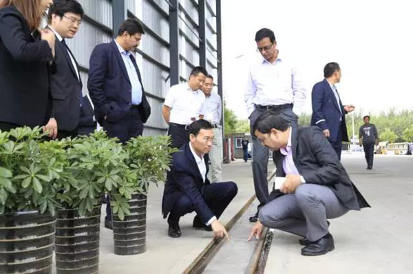 印度人真来考察巴铁了！有意在印建示范线路，嫌地铁成本高