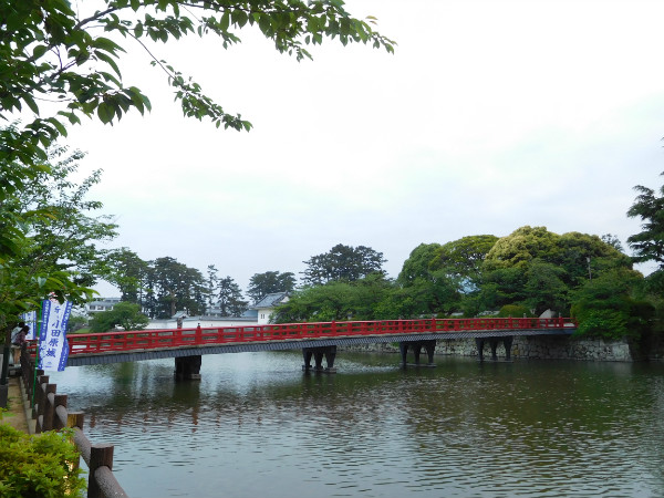 日本小田原城的圈养猴：或为羞辱背信弃义的丰臣秀吉