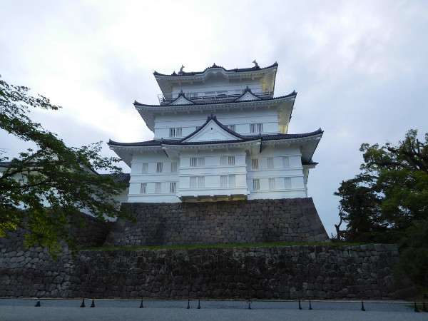 日本小田原城的圈养猴：或为羞辱背信弃义的丰臣秀吉