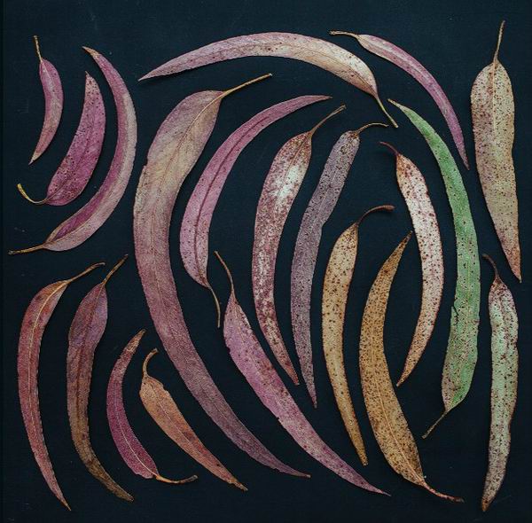 为什么“整理狂”的美学可以治愈你焦躁的灵魂？