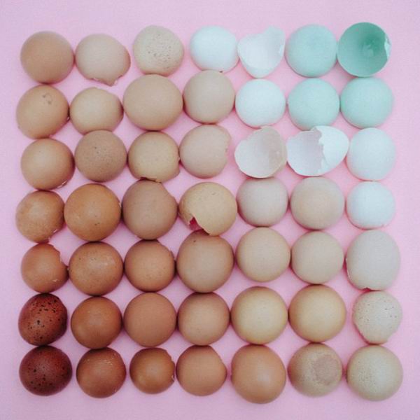 为什么“整理狂”的美学可以治愈你焦躁的灵魂？