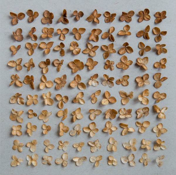 为什么“整理狂”的美学可以治愈你焦躁的灵魂？