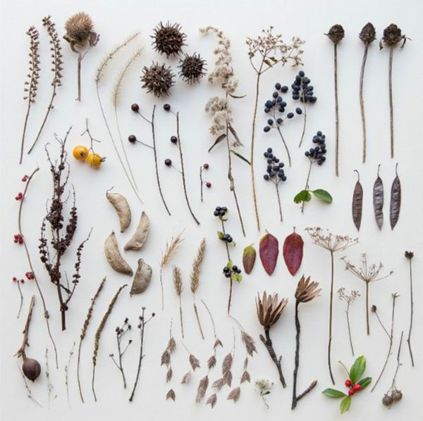 为什么“整理狂”的美学可以治愈你焦躁的灵魂？