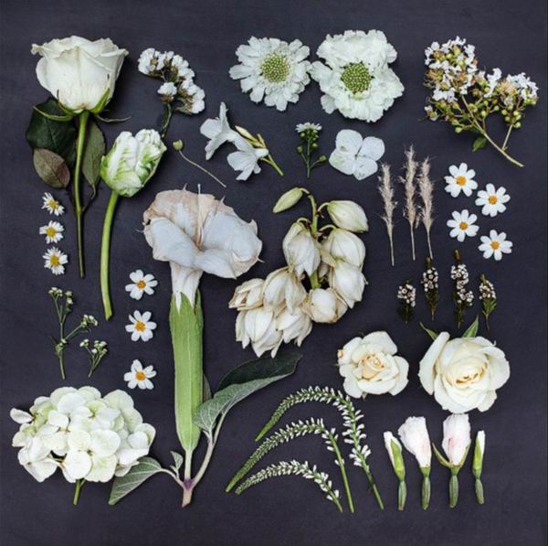 为什么“整理狂”的美学可以治愈你焦躁的灵魂？