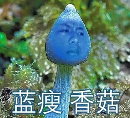 澎湃联播|别把孩子的足球当成实况游戏去玩