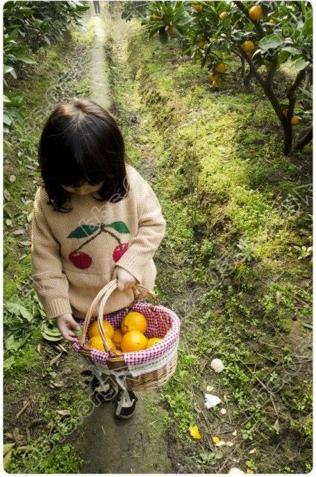 采橘子女孩2.jpg