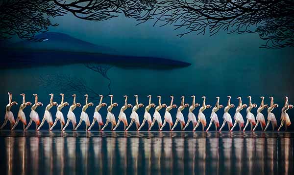 《老大》《朱鹮》入围文华奖：口碑市场如何双赢