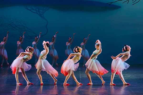 《老大》《朱鹮》入围文华奖：口碑市场如何双赢