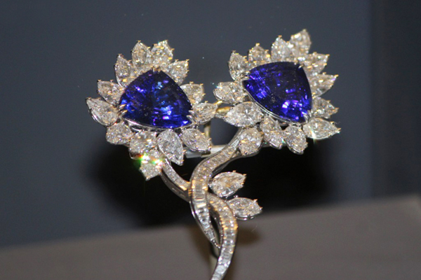 开普敦：把这些带回家