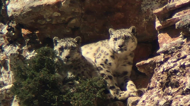 当保护区成为国家公园：人来了，野兽会跑吗？