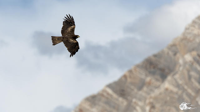 当保护区成为国家公园：人来了，野兽会跑吗？