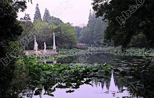 中海碧林湾 2.webp.jpg