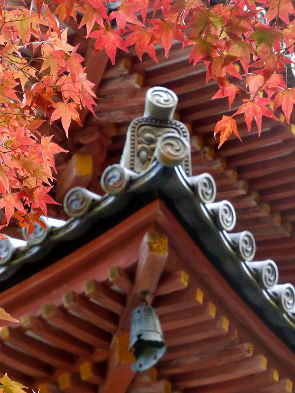 琉璃光院的叶子红了