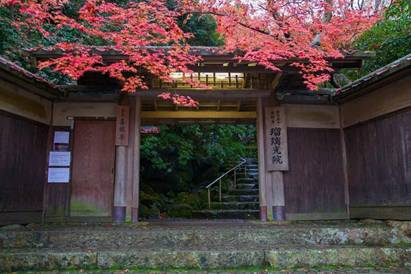 琉璃光院的叶子红了