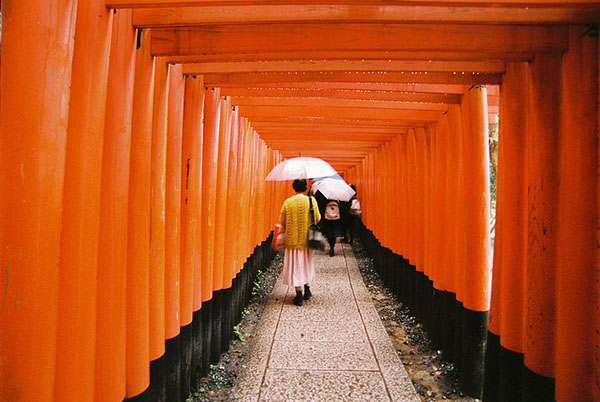 琉璃光院的叶子红了