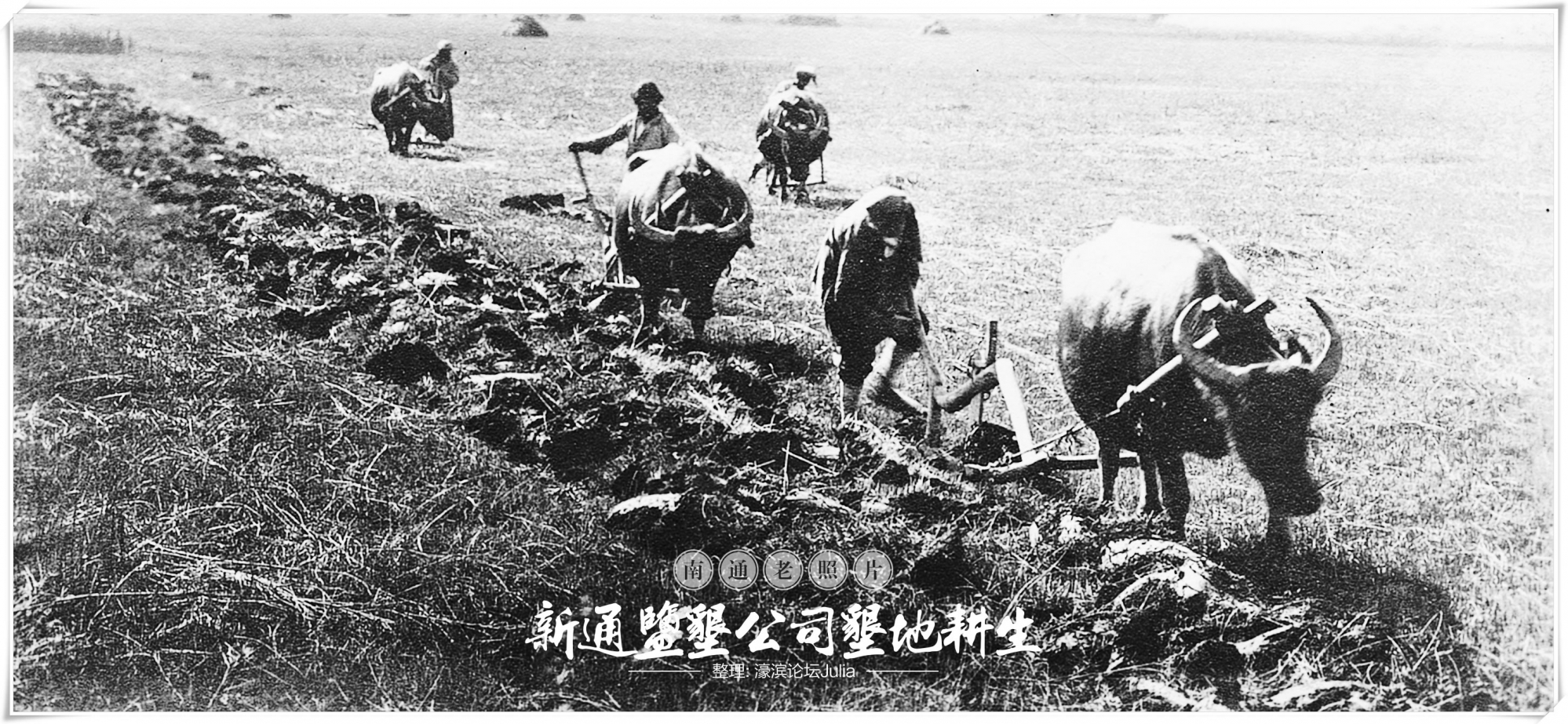 74新通盐垦公司垦地耕生.jpg