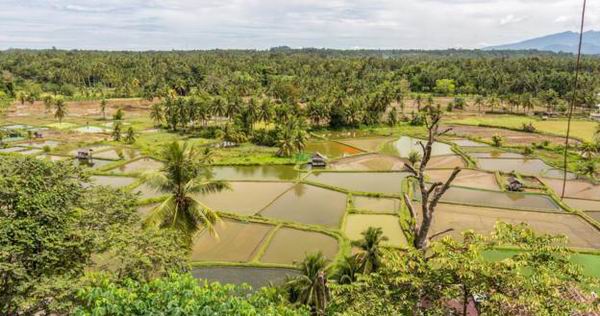 走近印尼米南加保族，一窥真实的母系社会