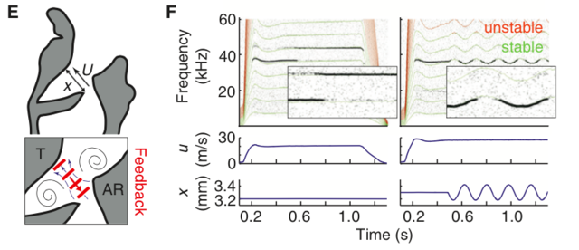 用超声波唱情歌，连声带都不用动？