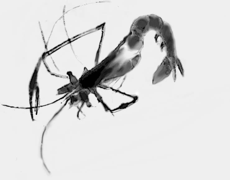 未标题-3jpg (Conflicted copy from DESKTOP-T06VC9O on 2016-10-10).jpg