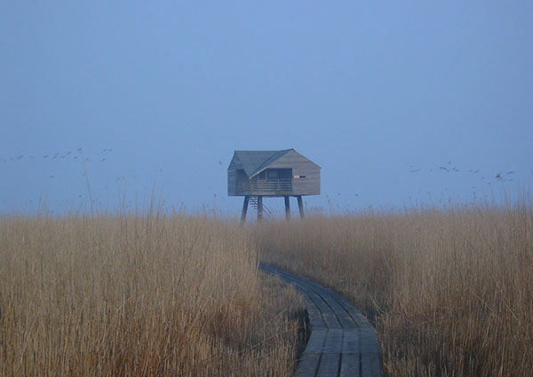 梦中的小屋在哪里？