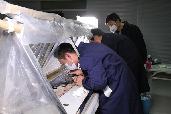 徐州博物馆文保中心主任：千年玉棺是如何修复还原的