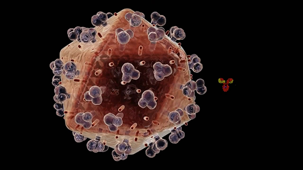 《自然》揭示艾滋病50年前入美路径，加拿大病人蒙冤35年