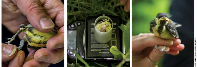 延续70年的生态实验