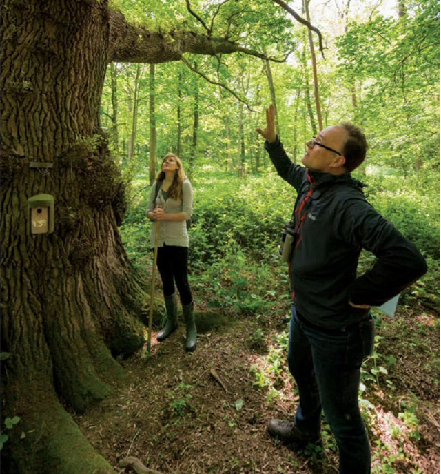 延续70年的生态实验