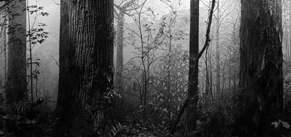 看展览｜杉本博司：在未来之恶中回归净土