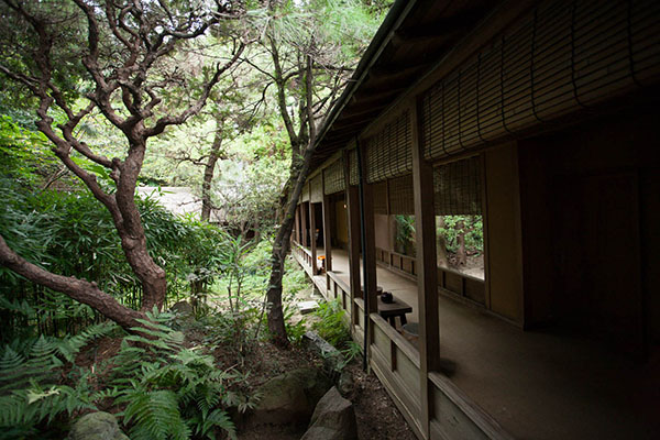 九州“秘汤”指南