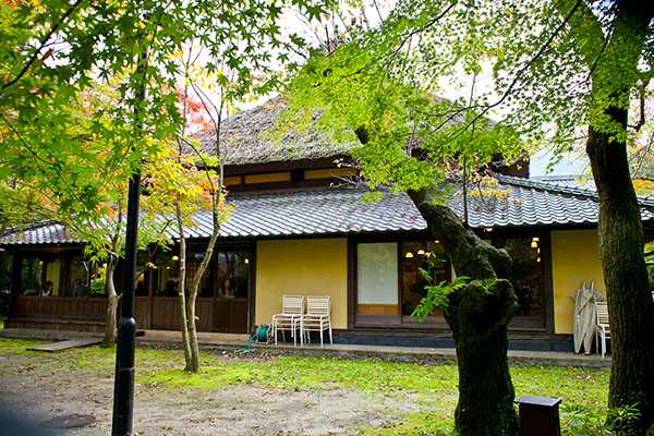 九州“秘汤”指南