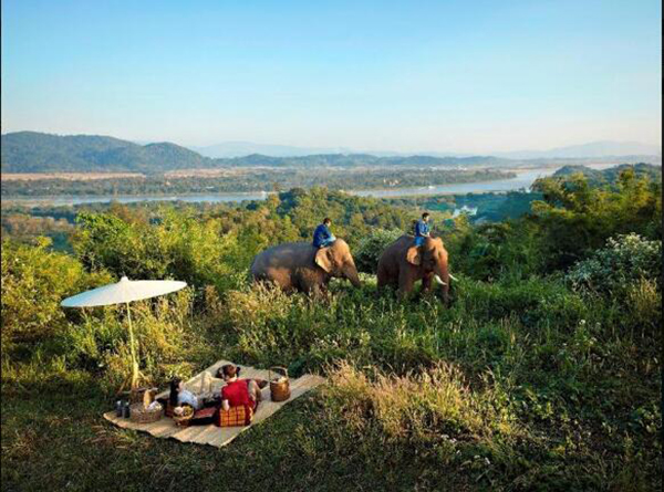 “野奢”正当时，露营酒店让你入住山海丛林