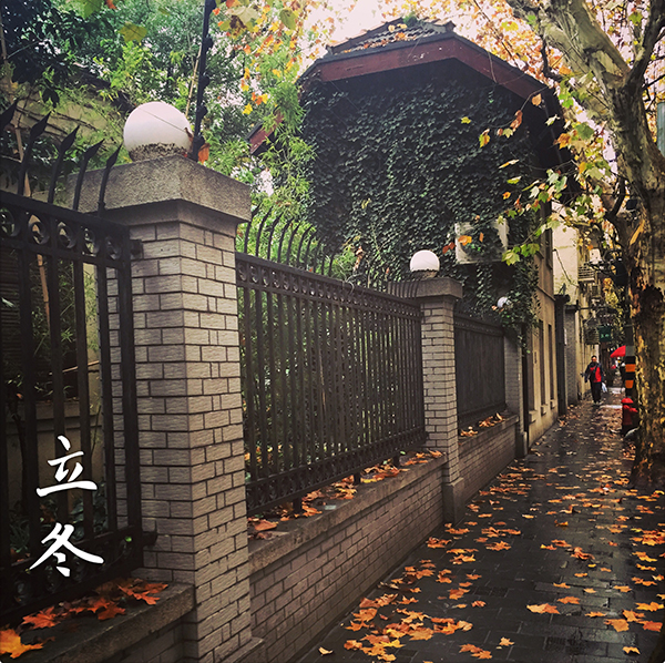 节气|立冬宜进补，保暖背和足