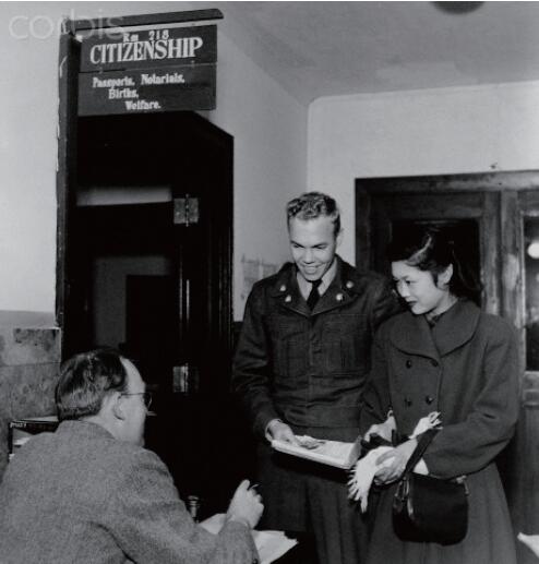 “妻子”是濒临灭绝的动物吗？